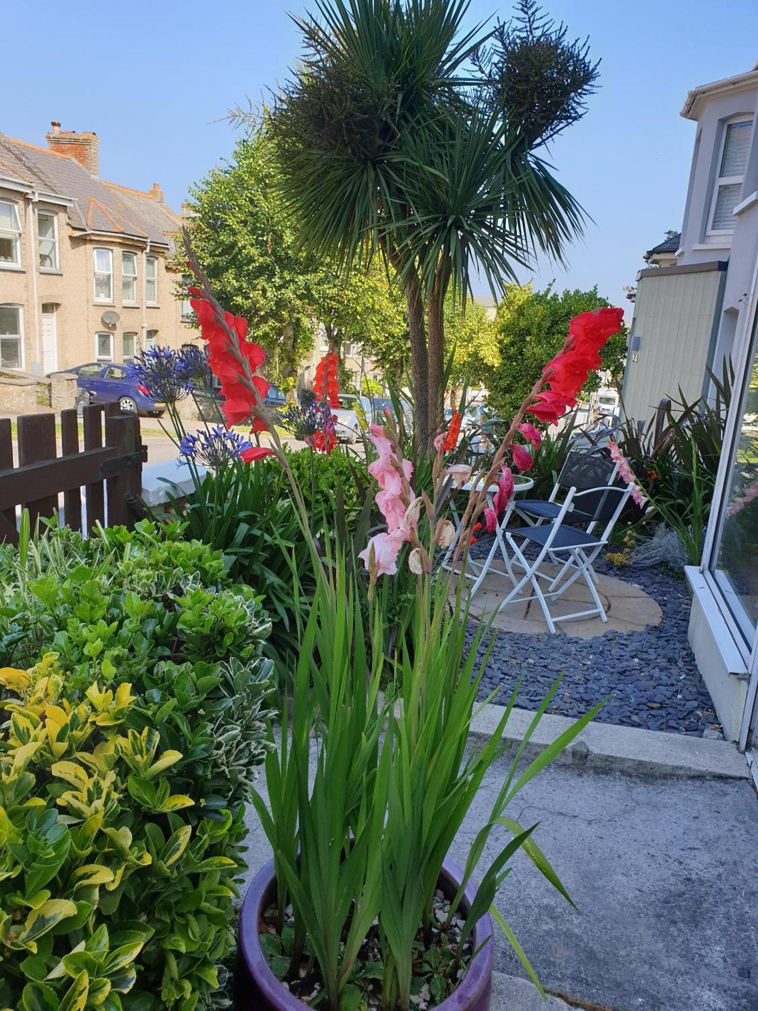 Fairways Guest House New Quay Exteriér fotografie